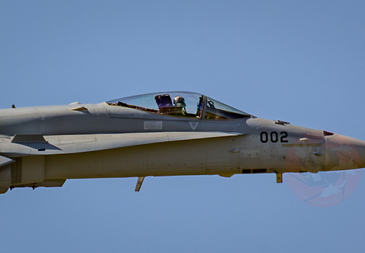 Swiss hornet display team 