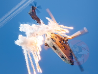  MG 0449 Super Puma display-2