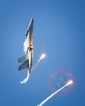  MG 0680 Solo display
