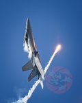  MG 0686 Solo display