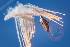  MG 0452 Super Puma display