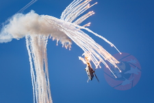  MG 0457 Super Puma display-2