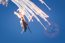 MG 0457 Super Puma display
