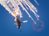  MG 0458 Super Puma display-2