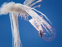  MG 0458 Super Puma display
