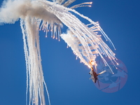  MG 0459 Super Puma display