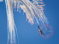  MG 0461 Super Puma display