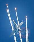  MG 0797 Solo display