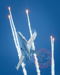  MG 0798 Solo display