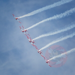  MG 8842 PC7 Team Avenches