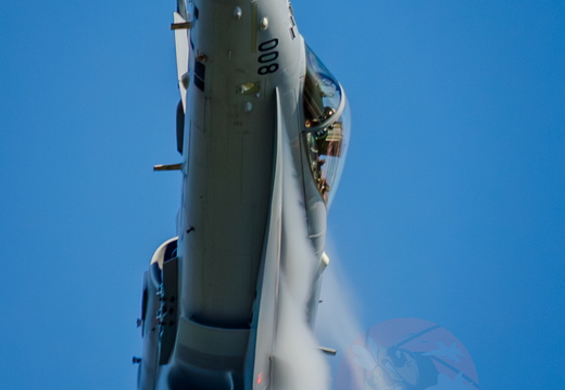 Swiss hornet display team 