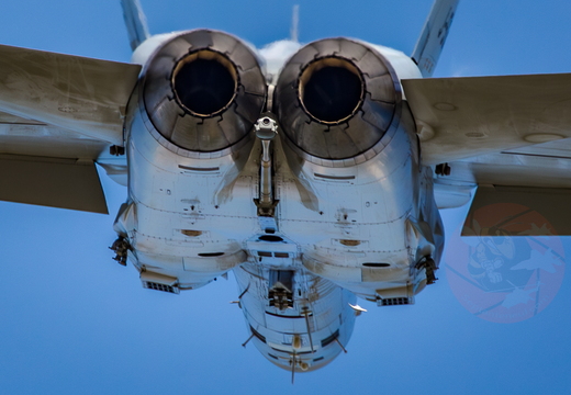 Swiss hornet display team 
