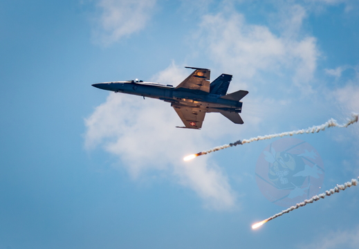 Fête des vendanges at Villeneuve (CH), July 30th