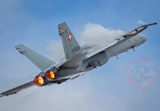 Swiss hornet display team 