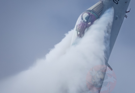 Swiss hornet display team 