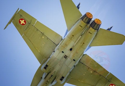 Swiss Hornet display team 
