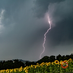  MG 0809 orages Vully 01