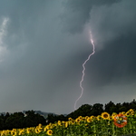  MG 0810 orages Vully 01