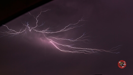 20230711 MG 0317 Lossy,Cutterwill